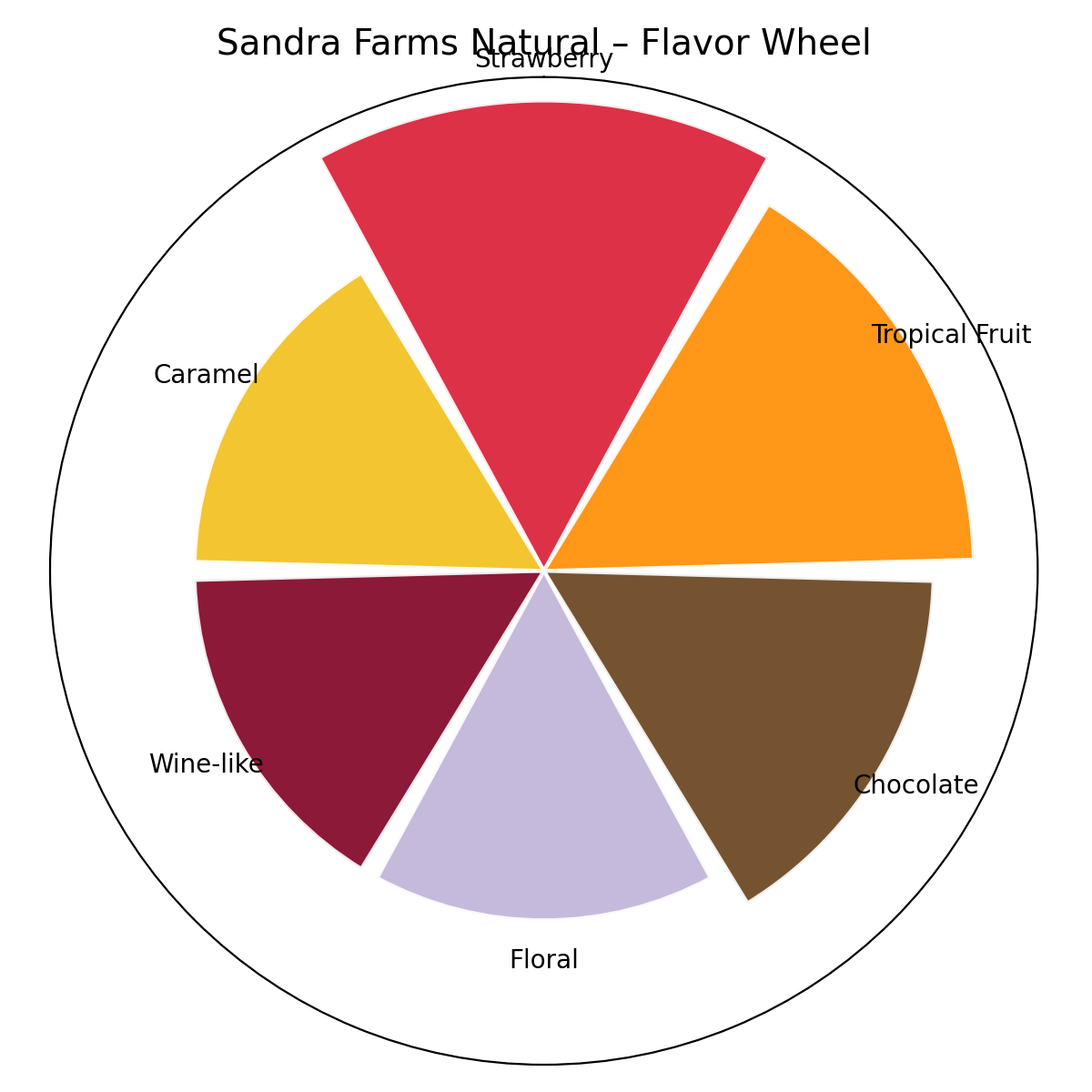 Sandra Farms NATURAL Specialty Coffee Beans 8oz