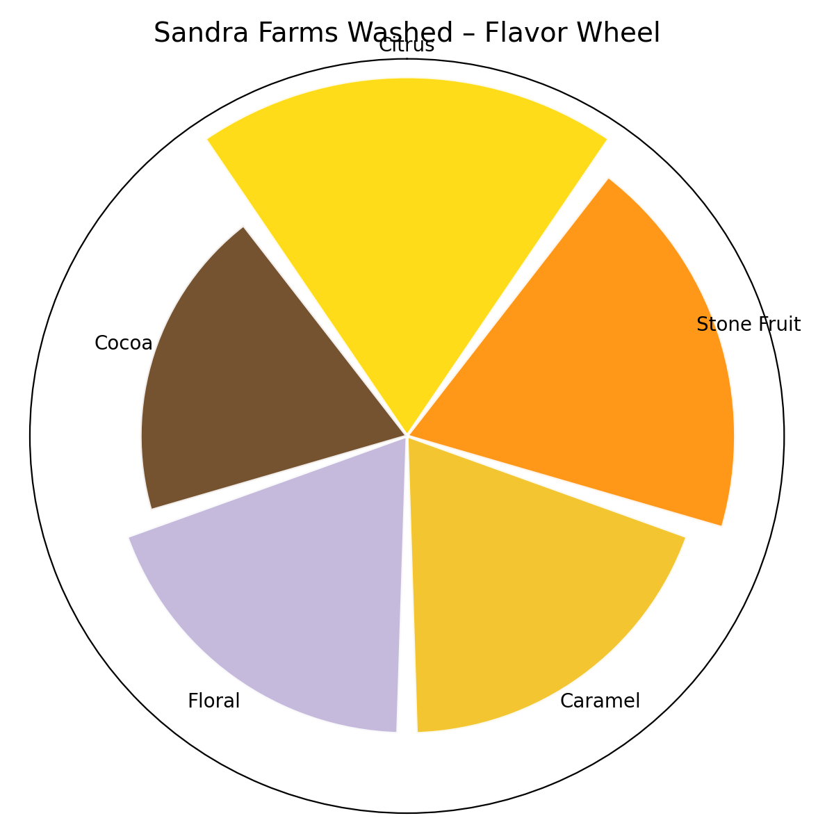 Sandra Farms WET PROCESS Specialty Coffee Beans 8oz