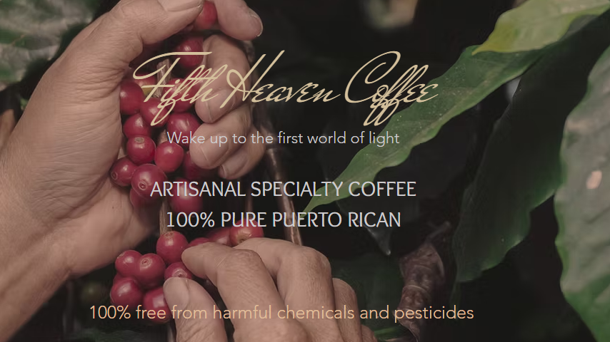 ☕ Puerto Rican Coffee with Purpose: The Hacienda Tierra Viva Story