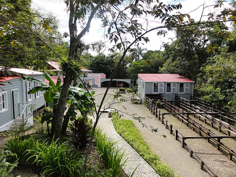 Meet the Best Puerto Rican Coffee Producers