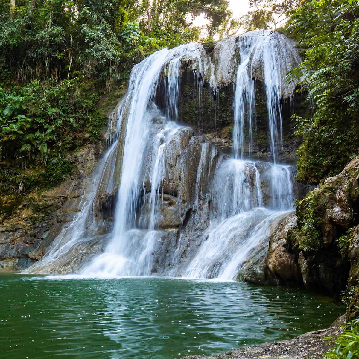 Coffee from Maricao, PR