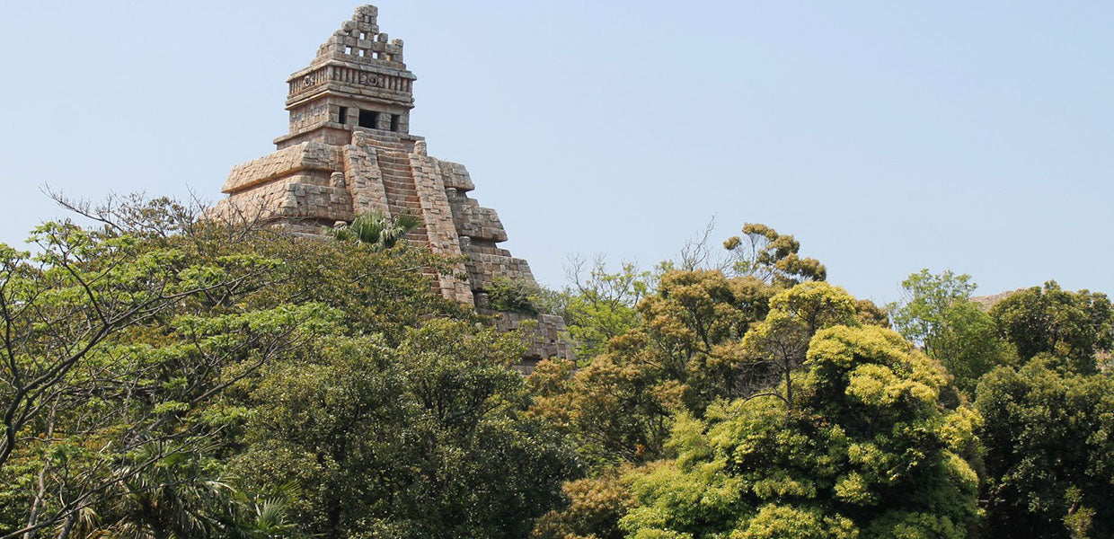 Coffee from Jayuya, PR