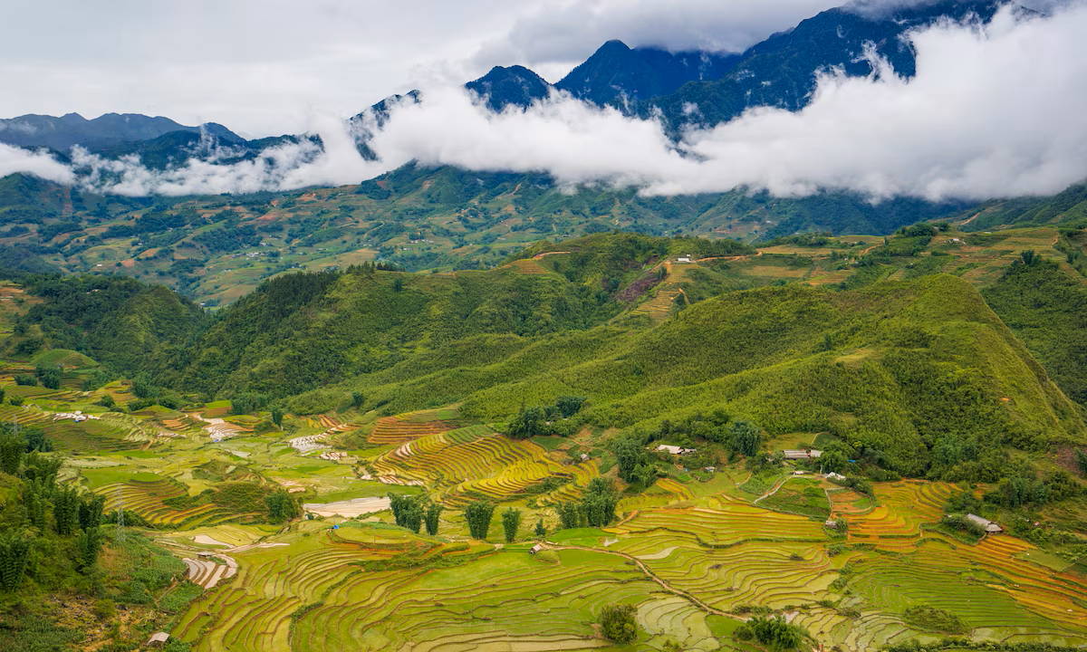 Coffee from Yauco, PR